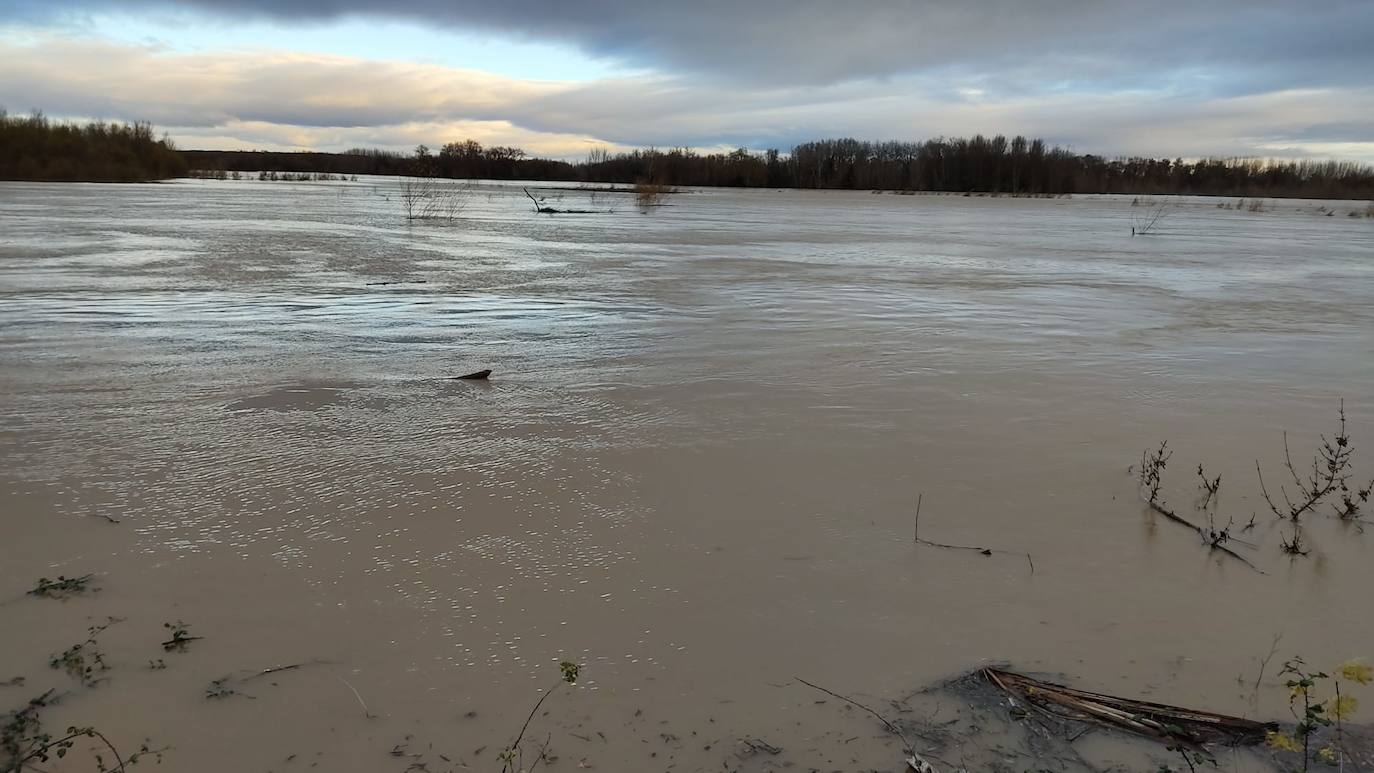 El Ebro a su paso por Alfaro