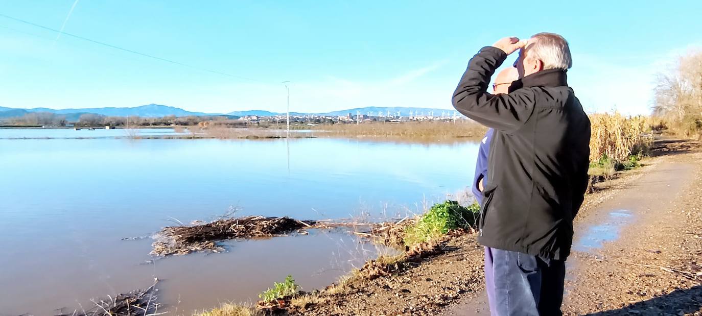 Los cultivos junto al camino del caballon del Ebro en Calahorra