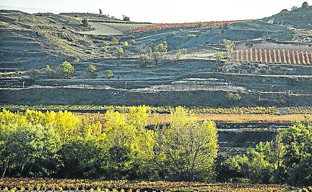 Un plan para impulsar la transformación