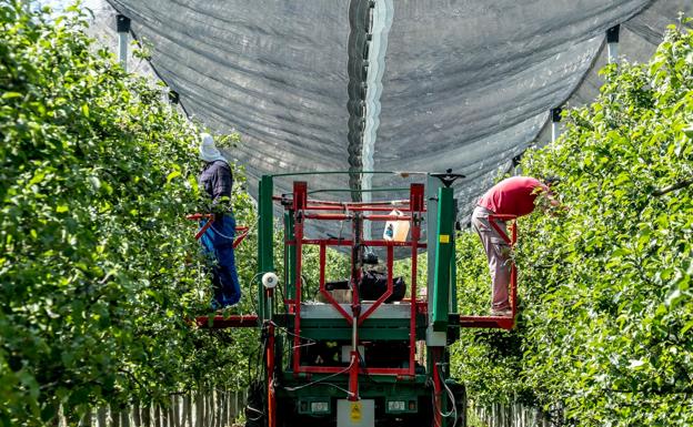 Año 2022 para la agricultura: el futuro no es esperanzador