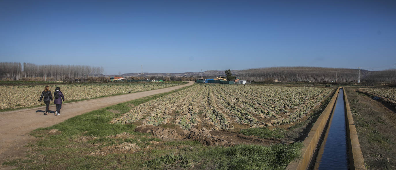 Fotos: Verdura ahogada y fincas anegadas un mes después de la riada