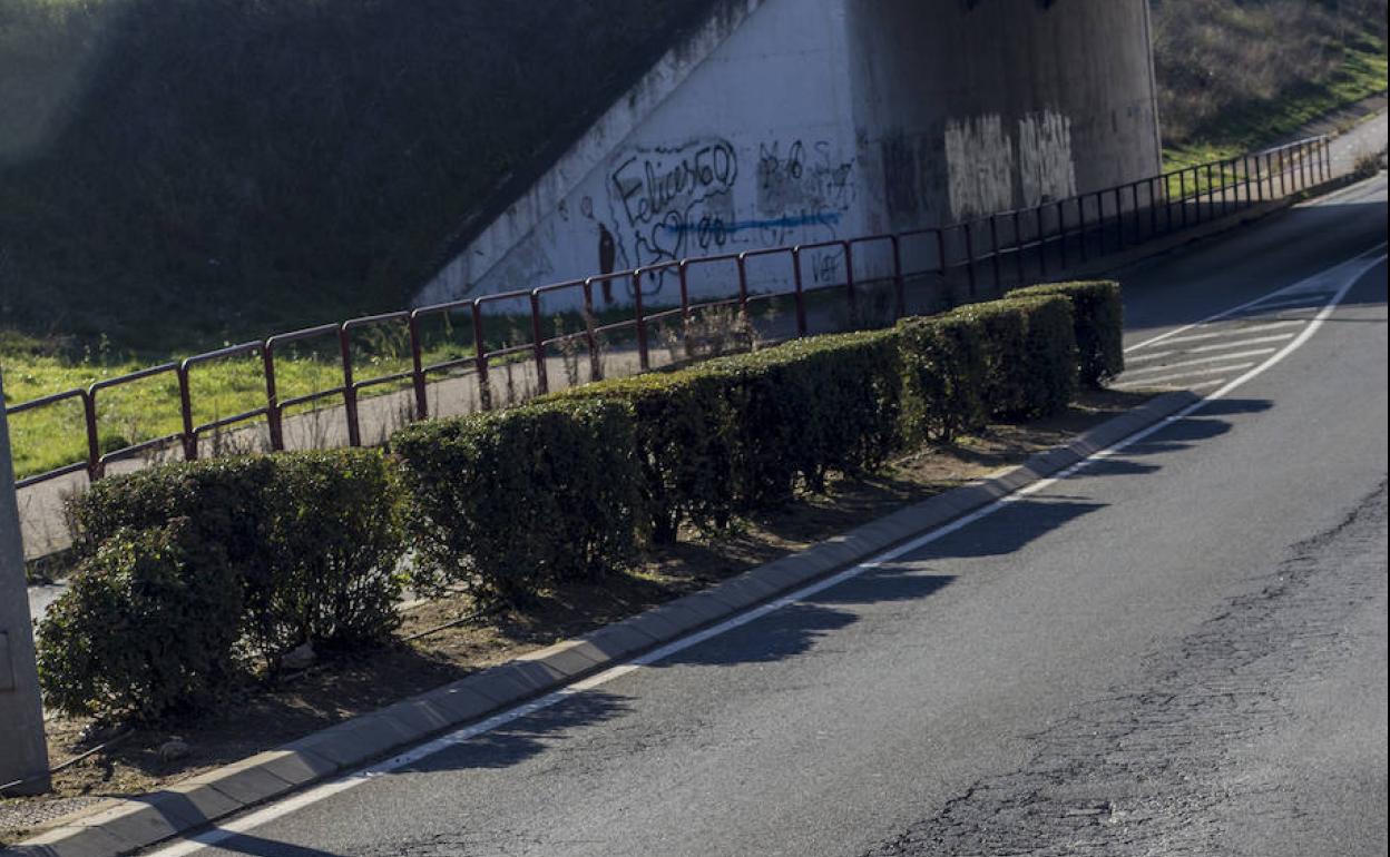 Cs critica el «mal estado» del vial que conecta Los Lirios y La Estrella