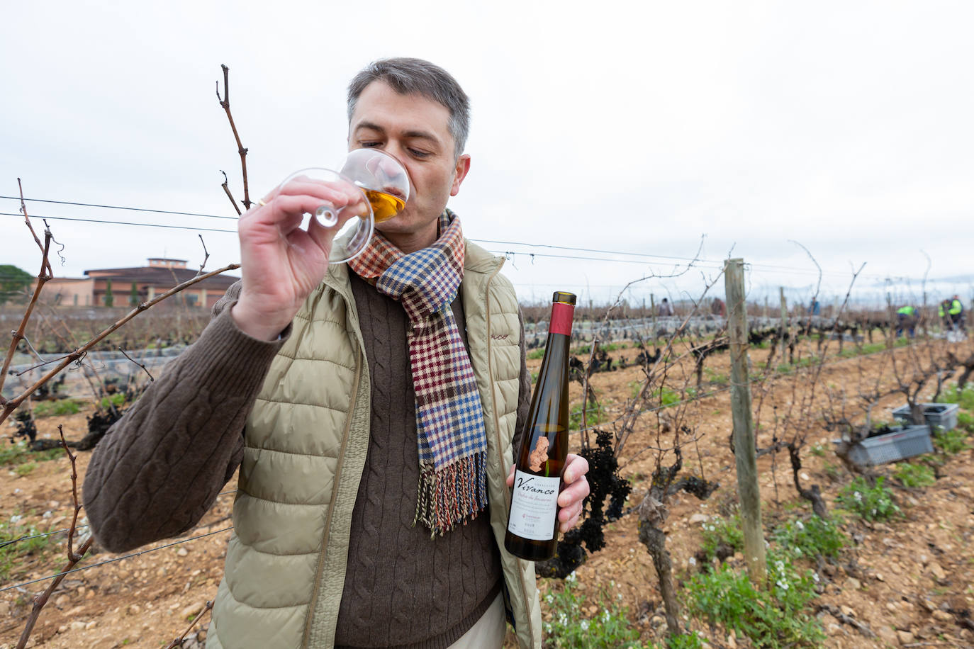 Se elaborará un vino dulce formado por el proceso de podredumbre noble 'a la riojana'