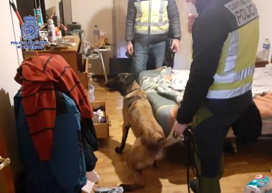 Imagen secundaria 1 - Detenido un hombre y desmantelado un punto de droga en Logroño