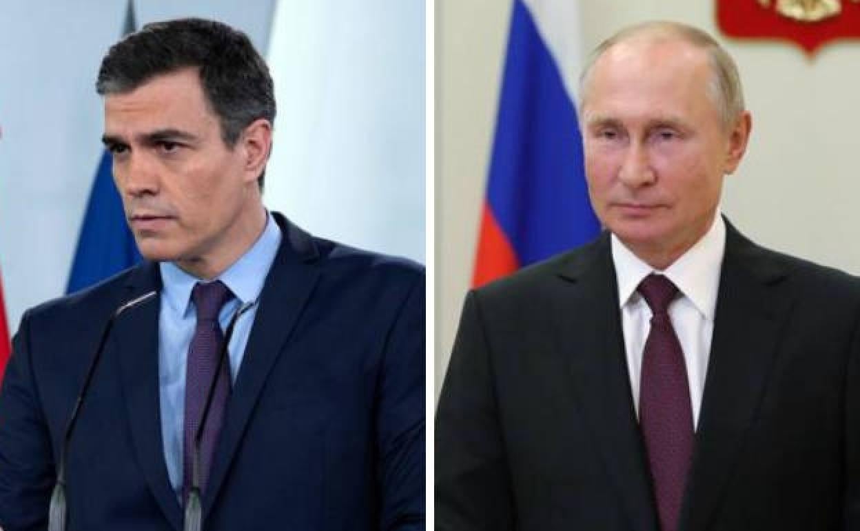 Pedro Sánchez y Valdimir Putin. 