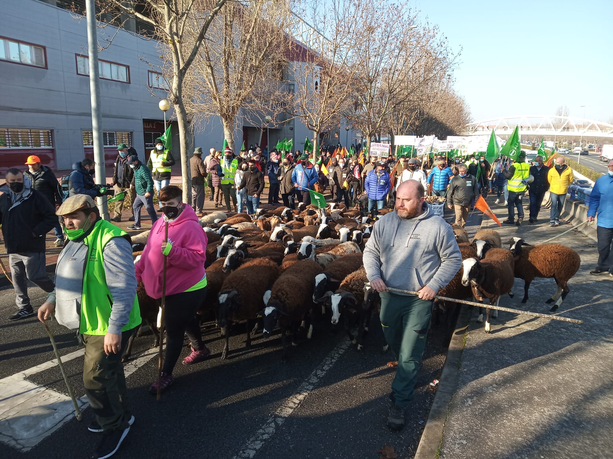 Fotos: Así ha sido la salida de la manifestación del campo