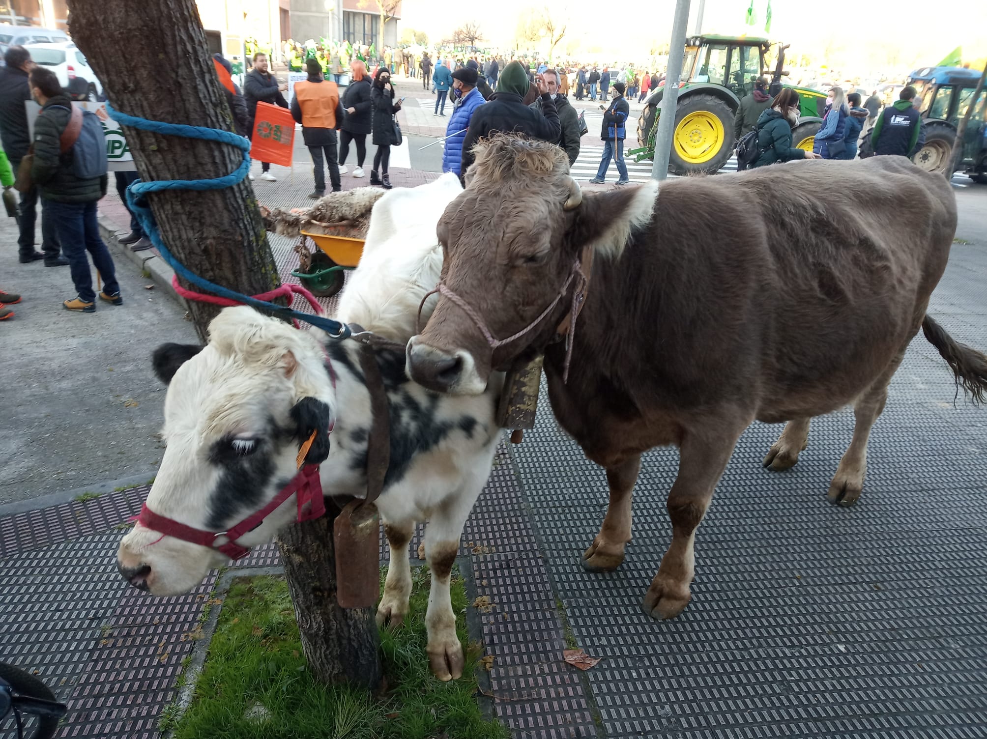 Fotos: Así ha sido la salida de la manifestación del campo