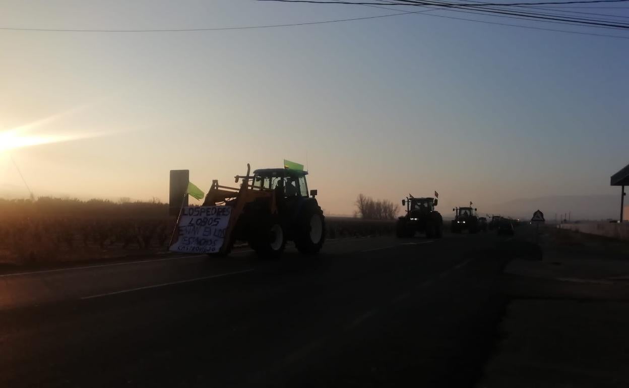 Imagen de varios tractores en su camino hacia Logroño, esta mañana