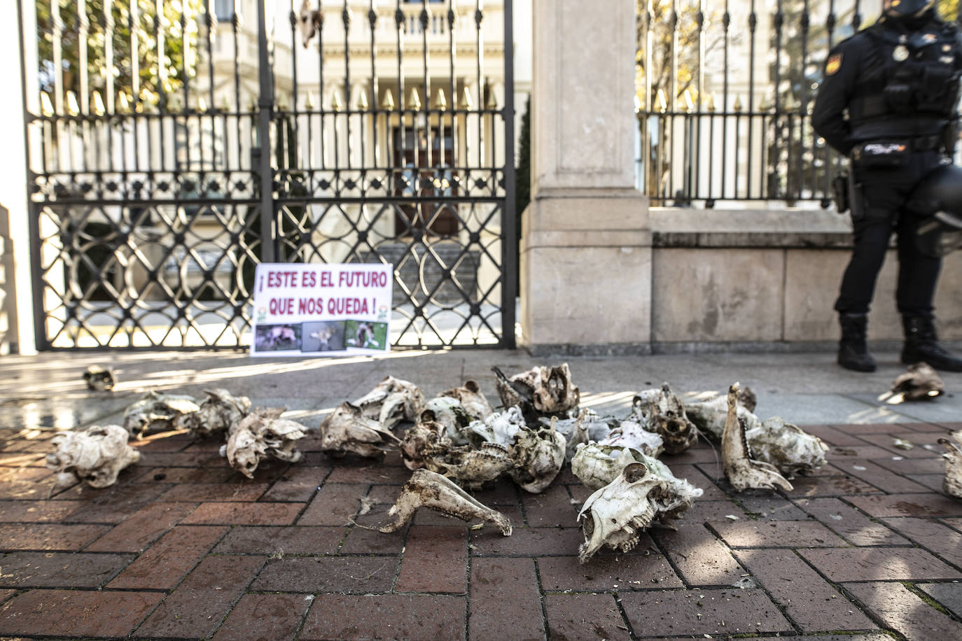 Fotos: El campo riojano se manifiesta en Logroño