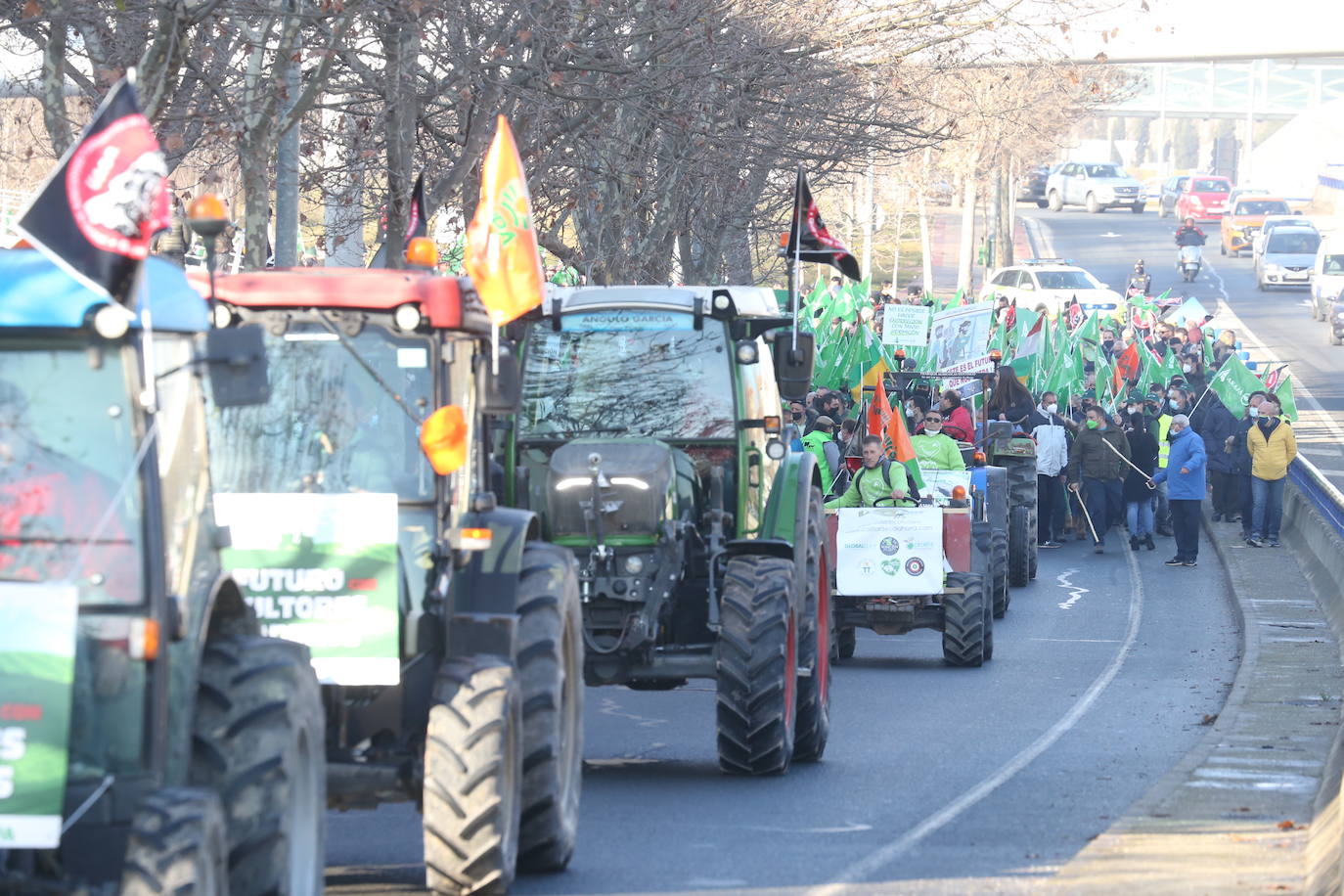 Fotos: La manifestación, a su paso por el centro de Logroño