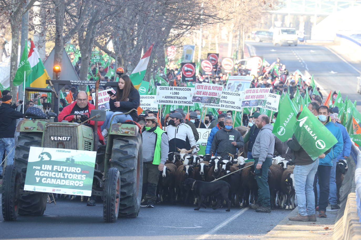 Fotos: La manifestación, a su paso por el centro de Logroño