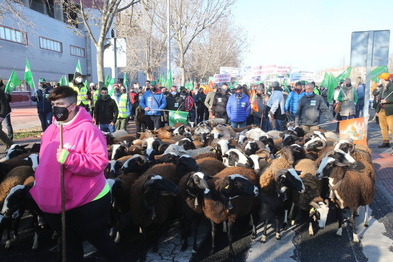 Fotos: La manifestación, a su paso por el centro de Logroño