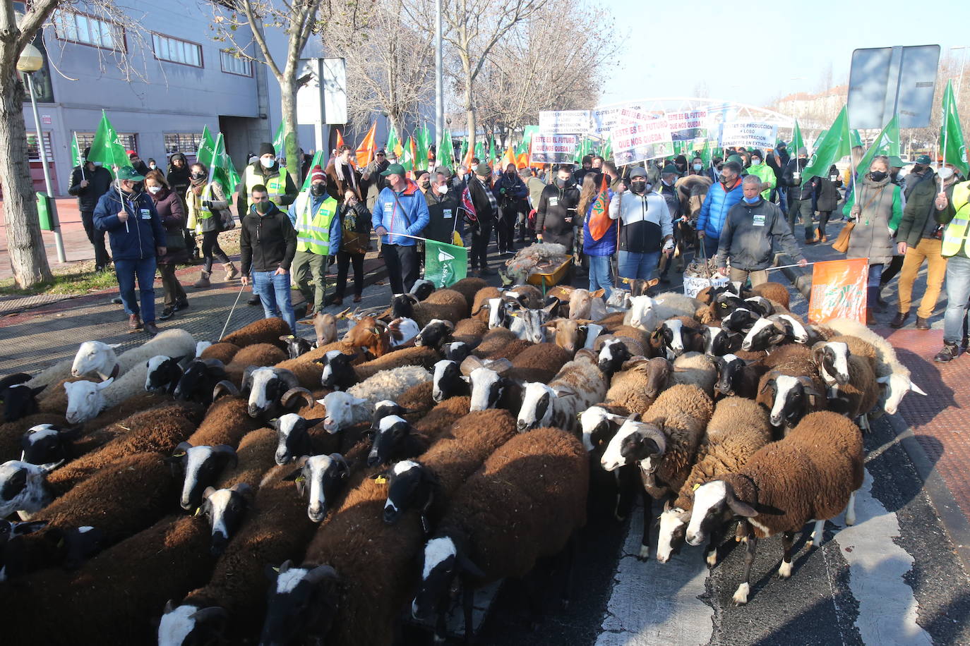 Fotos: La manifestación, a su paso por el centro de Logroño