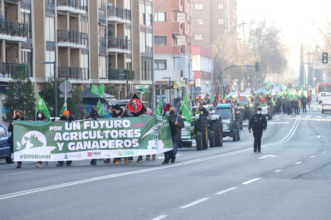 Fotos: La manifestación, a su paso por el centro de Logroño