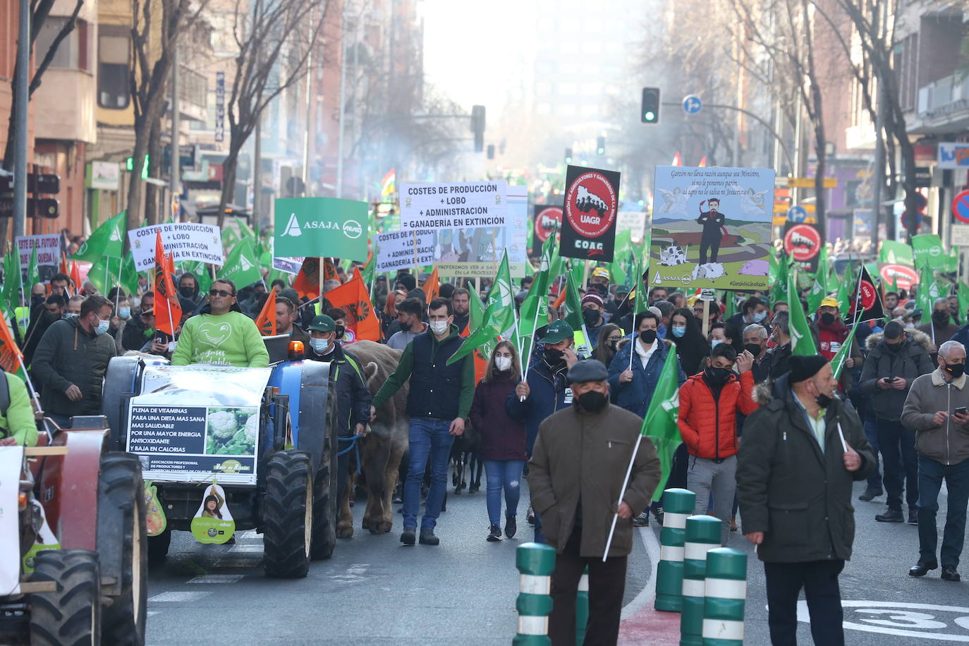 Fotos: La manifestación, a su paso por el centro de Logroño