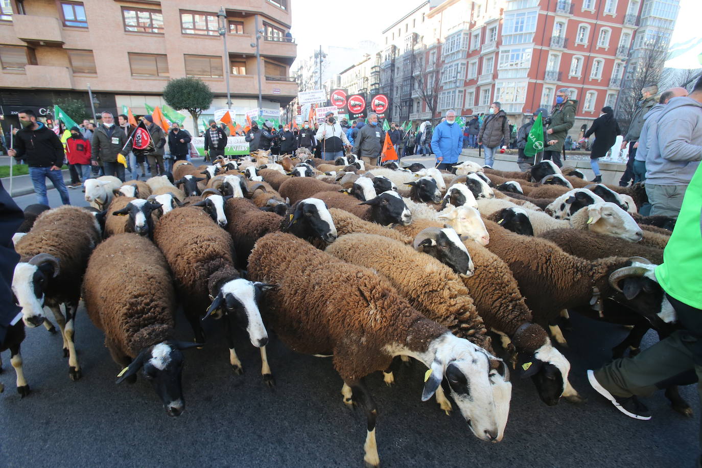 Fotos: La manifestación, a su paso por el centro de Logroño