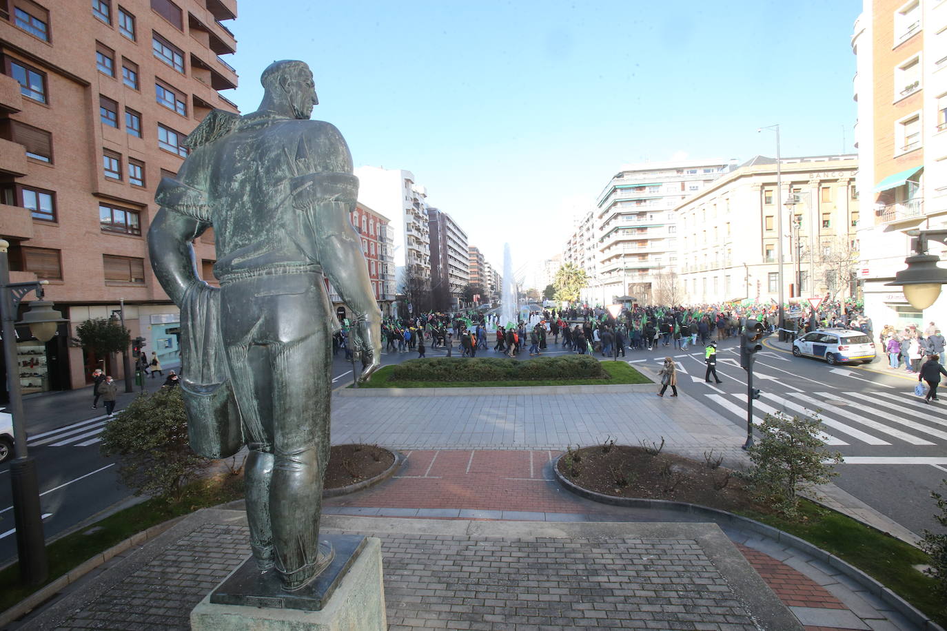 Fotos: La manifestación, a su paso por el centro de Logroño