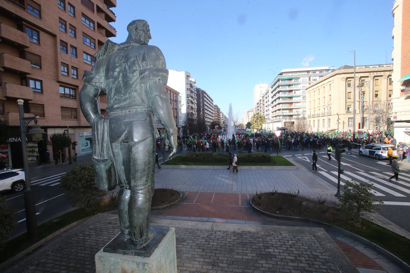 Fotos: La manifestación, a su paso por el centro de Logroño