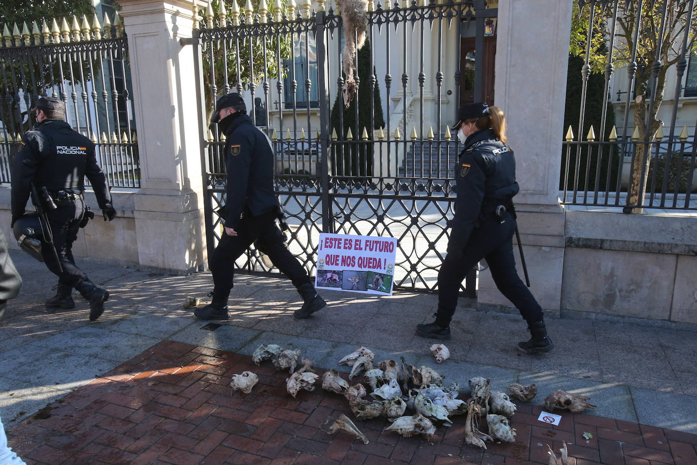 Fotos: La manifestación, a su paso por el centro de Logroño