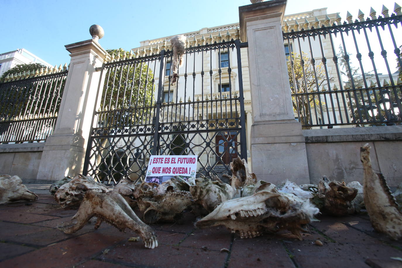 Fotos: La manifestación, a su paso por el centro de Logroño