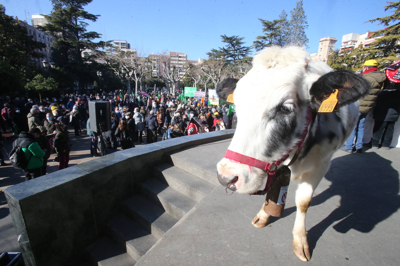 Fotos: La manifestación, a su paso por el centro de Logroño