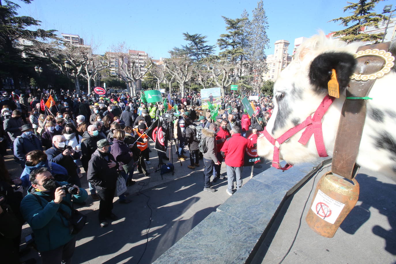 Fotos: La manifestación, a su paso por el centro de Logroño