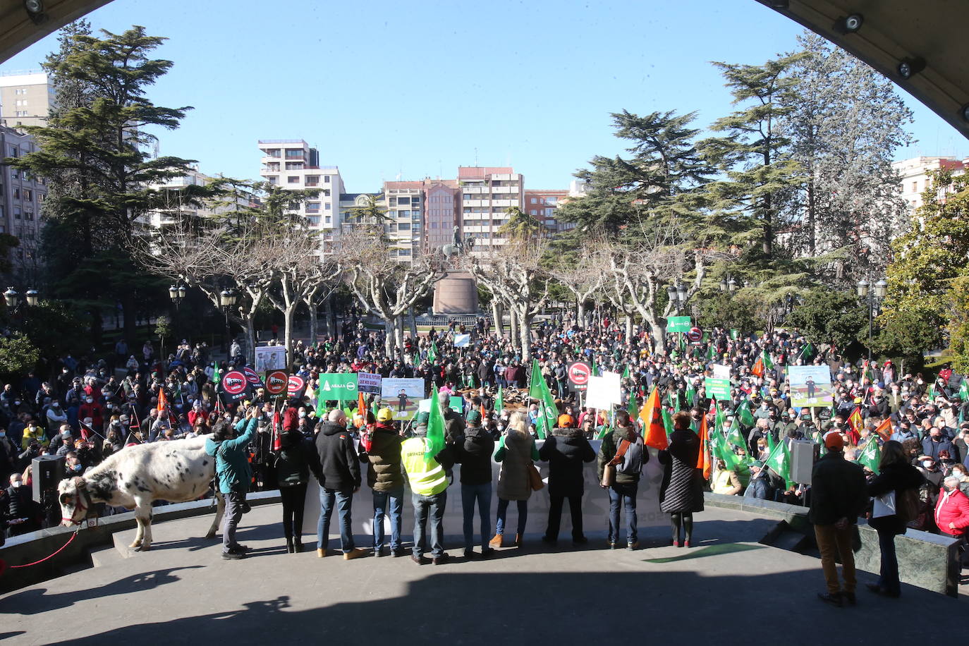 Fotos: La manifestación, a su paso por el centro de Logroño