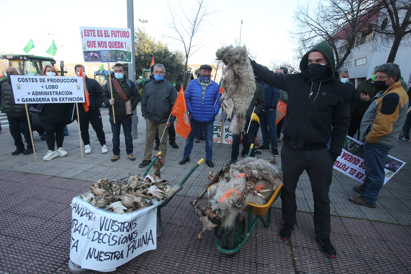 Fotos: La manifestación, a su paso por el centro de Logroño