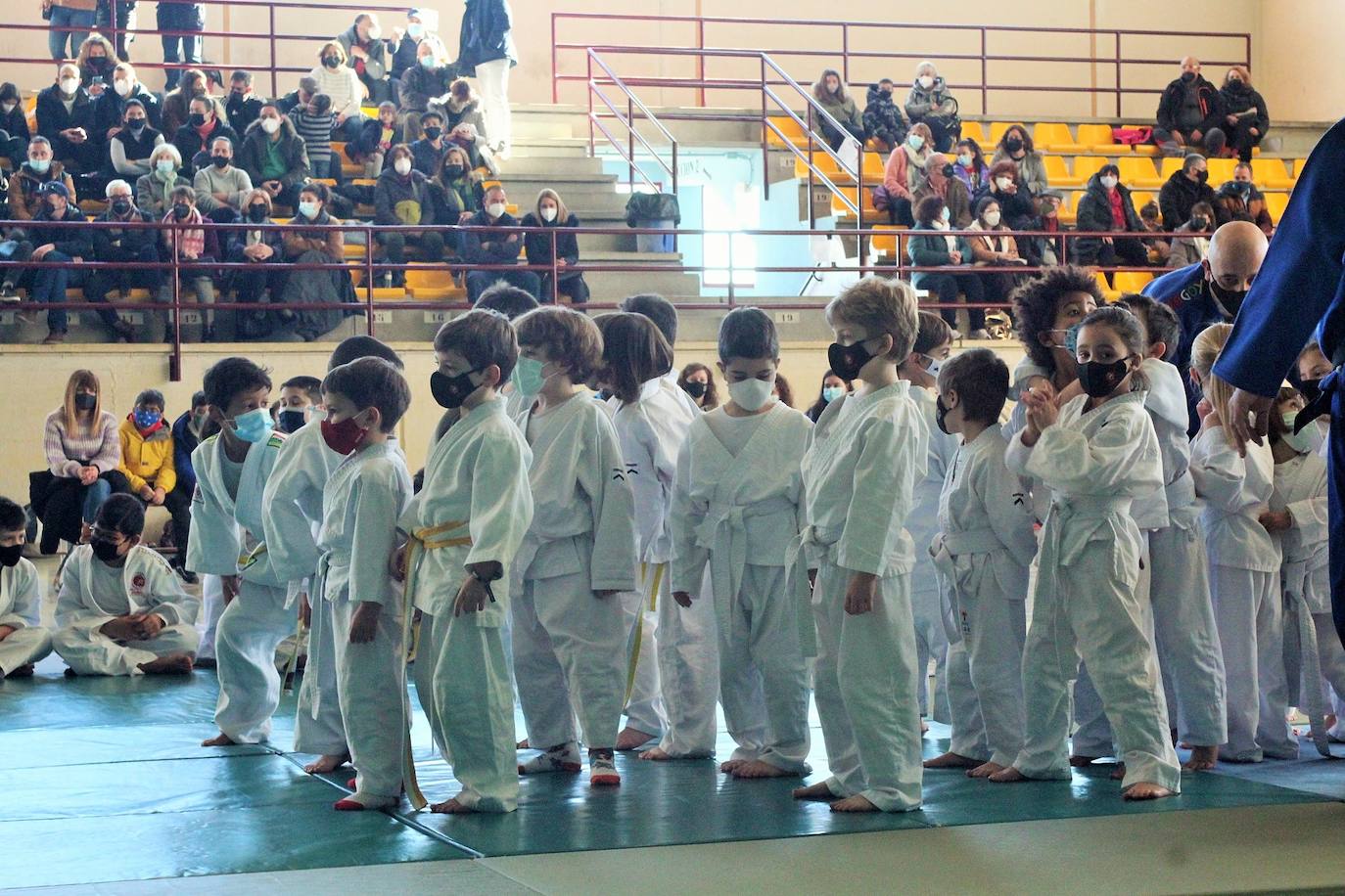 Fotos: Exhibición solidaria de judo en Lardero