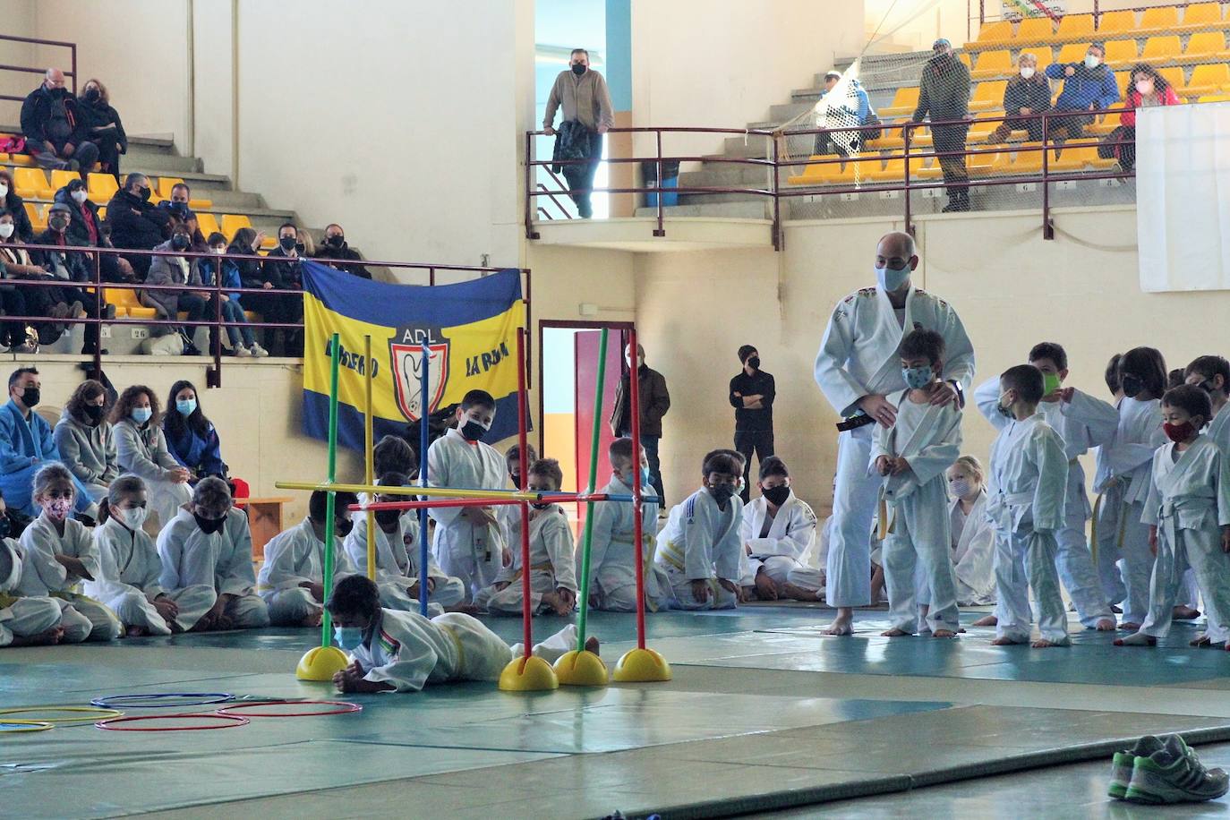 Fotos: Exhibición solidaria de judo en Lardero