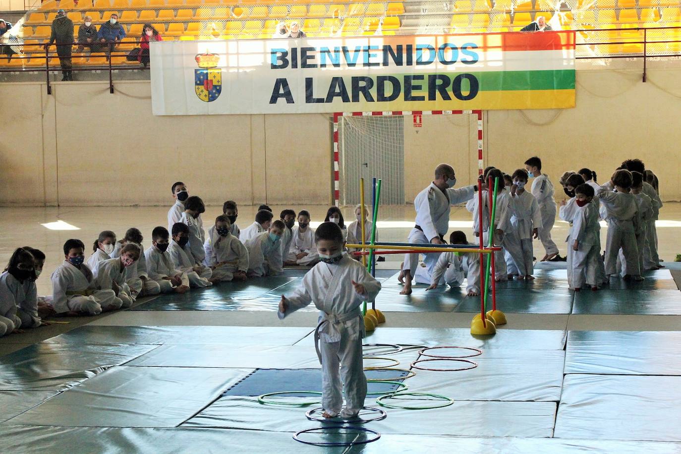 Fotos: Exhibición solidaria de judo en Lardero