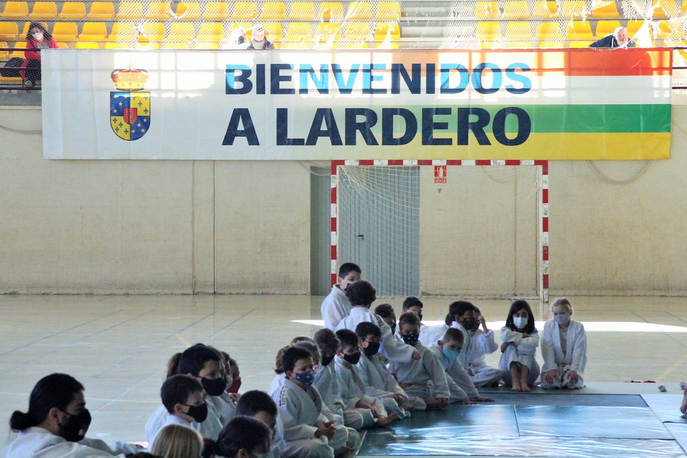 Fotos: Exhibición solidaria de judo en Lardero