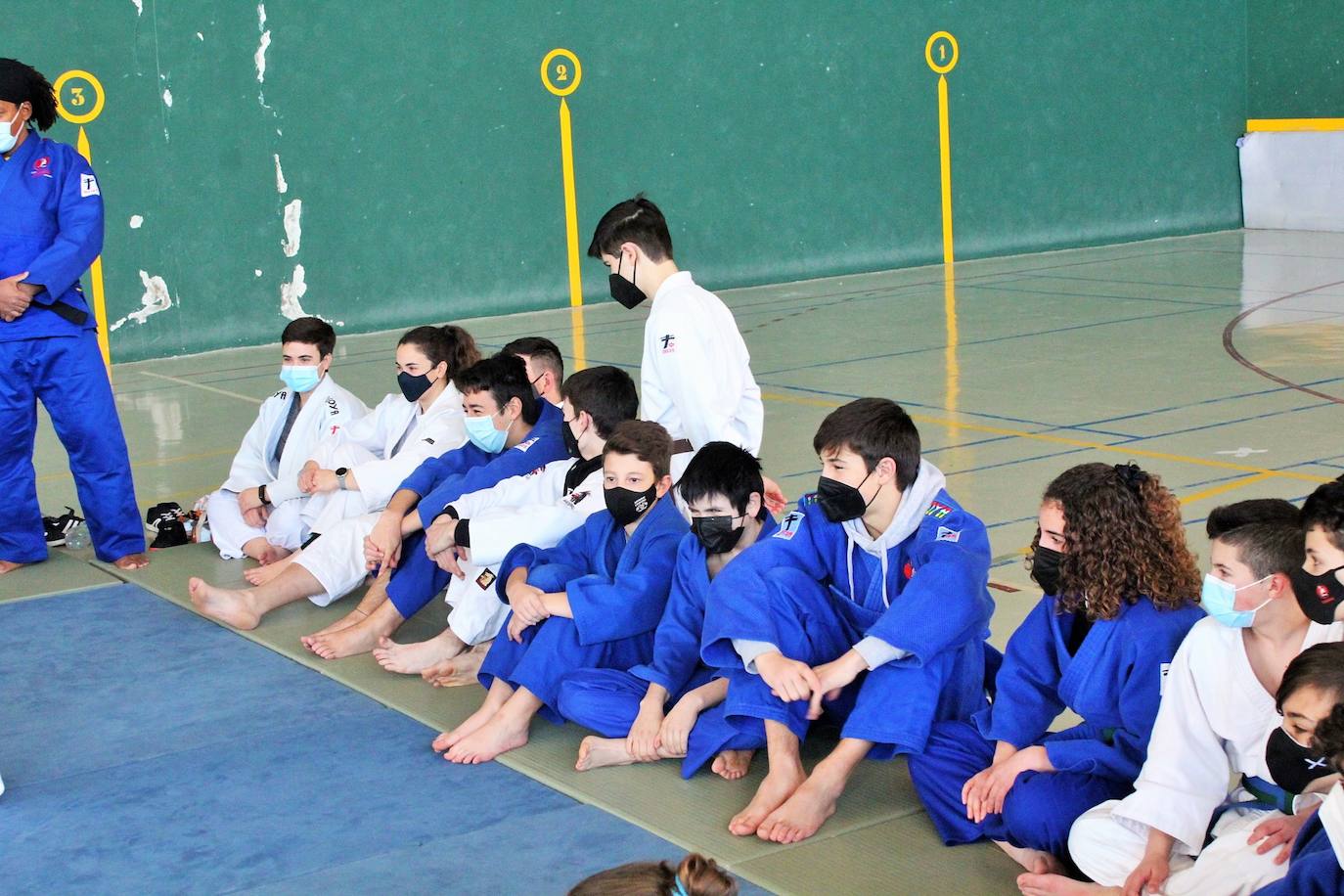 Fotos: Exhibición solidaria de judo en Lardero