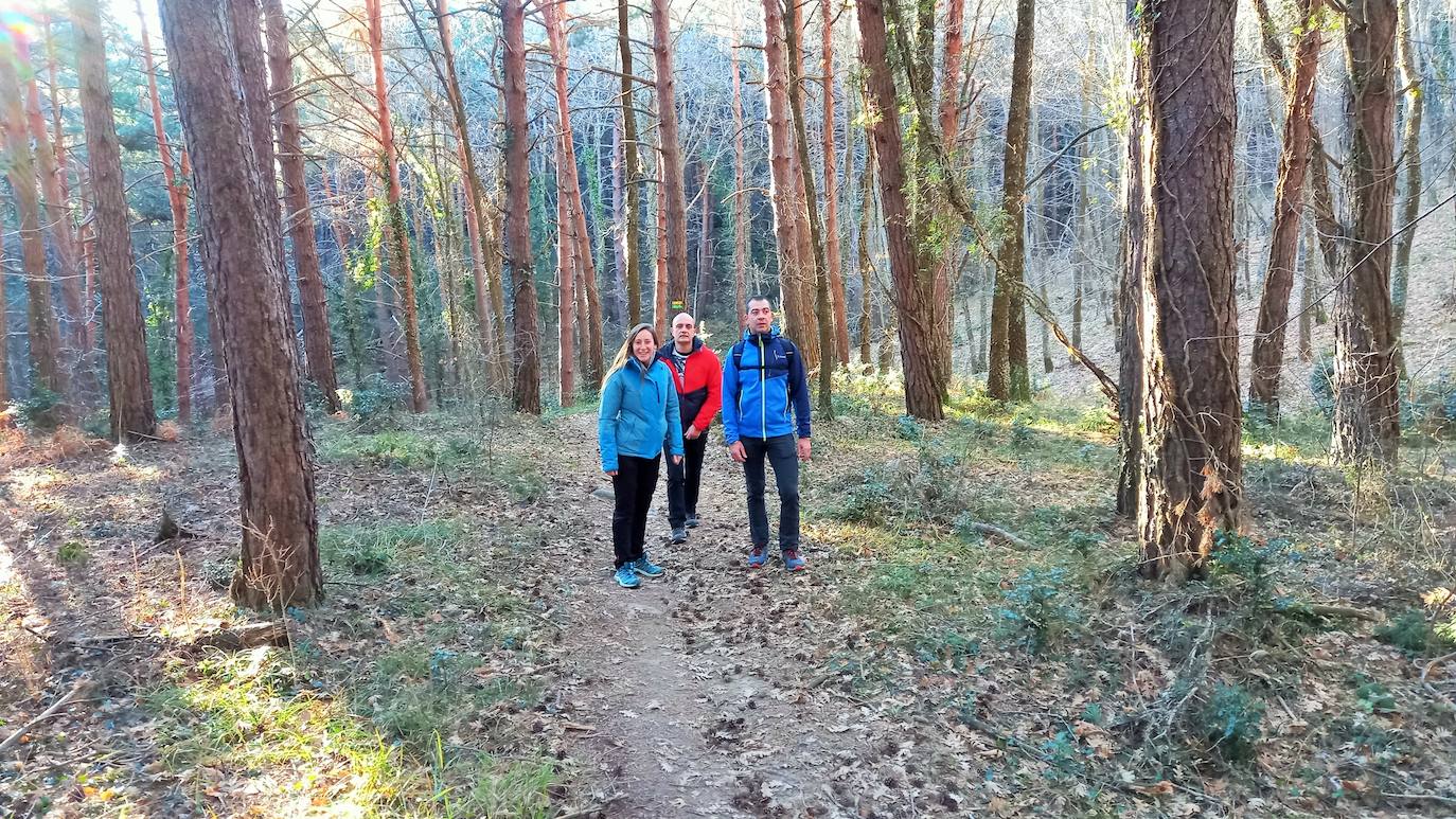 Fotos: Senderismo entre barrancos, pinos, robles y hayas