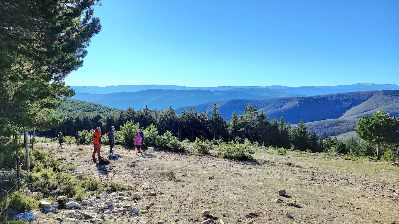 Fotos: Senderismo entre barrancos, pinos, robles y hayas