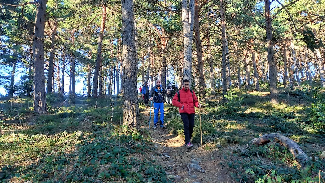 Fotos: Senderismo entre barrancos, pinos, robles y hayas