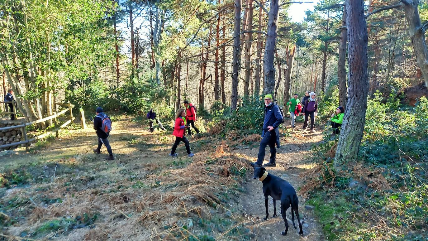 Fotos: Senderismo entre barrancos, pinos, robles y hayas