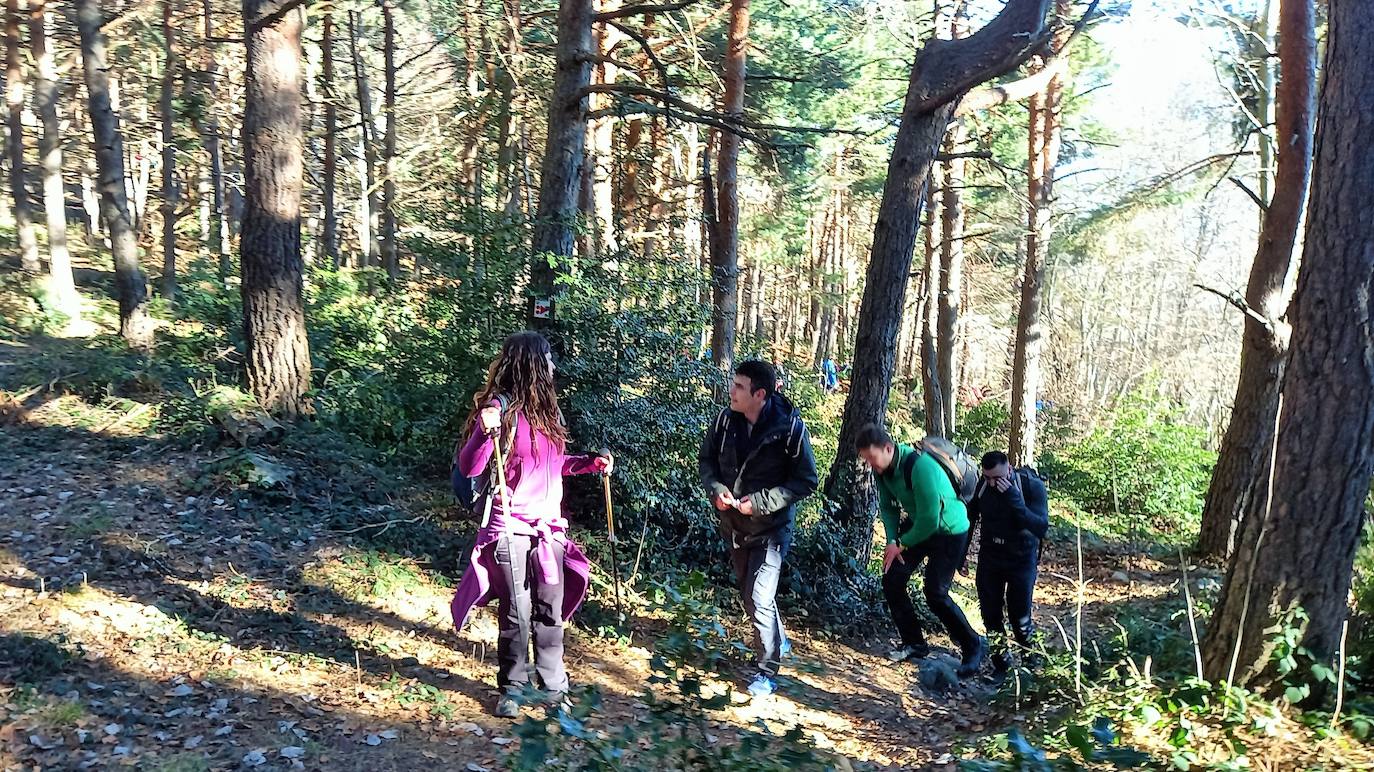 Fotos: Senderismo entre barrancos, pinos, robles y hayas