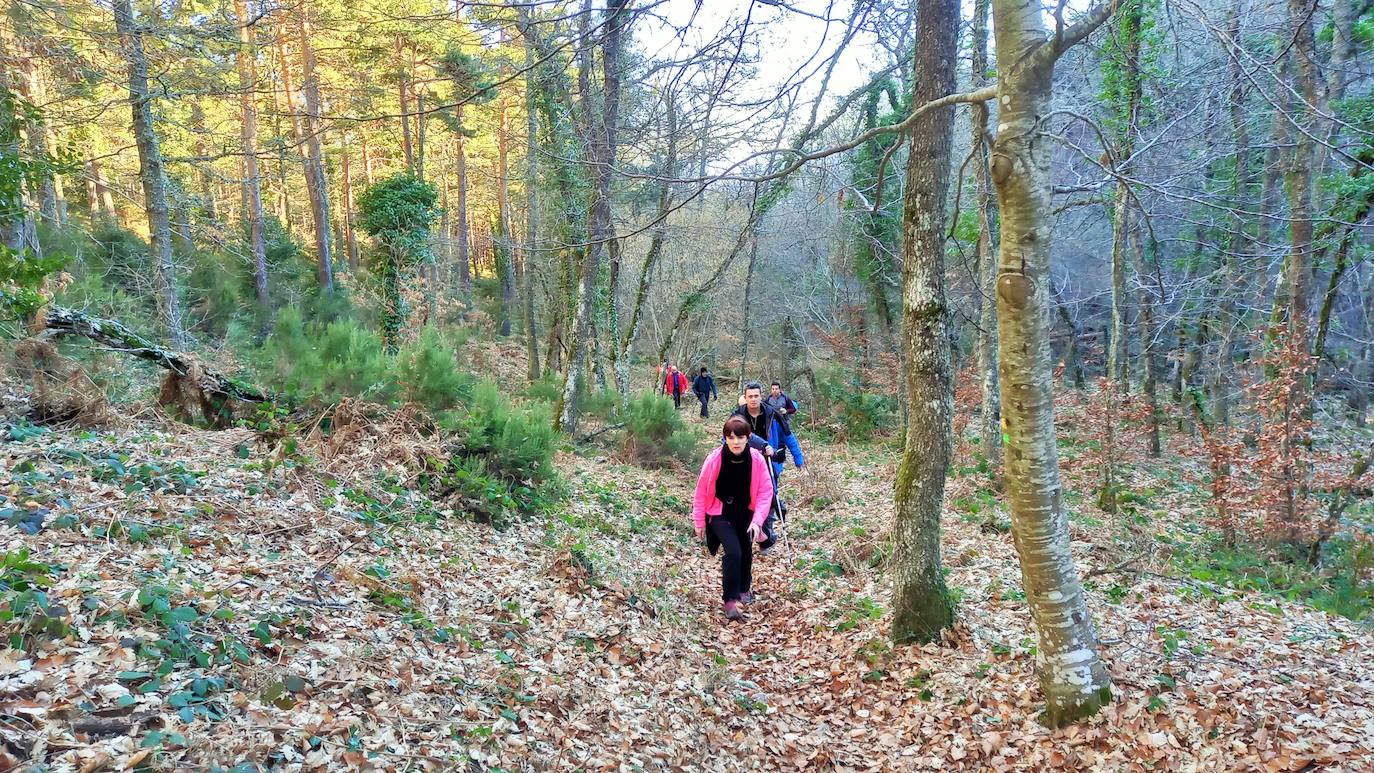 Fotos: Senderismo entre barrancos, pinos, robles y hayas