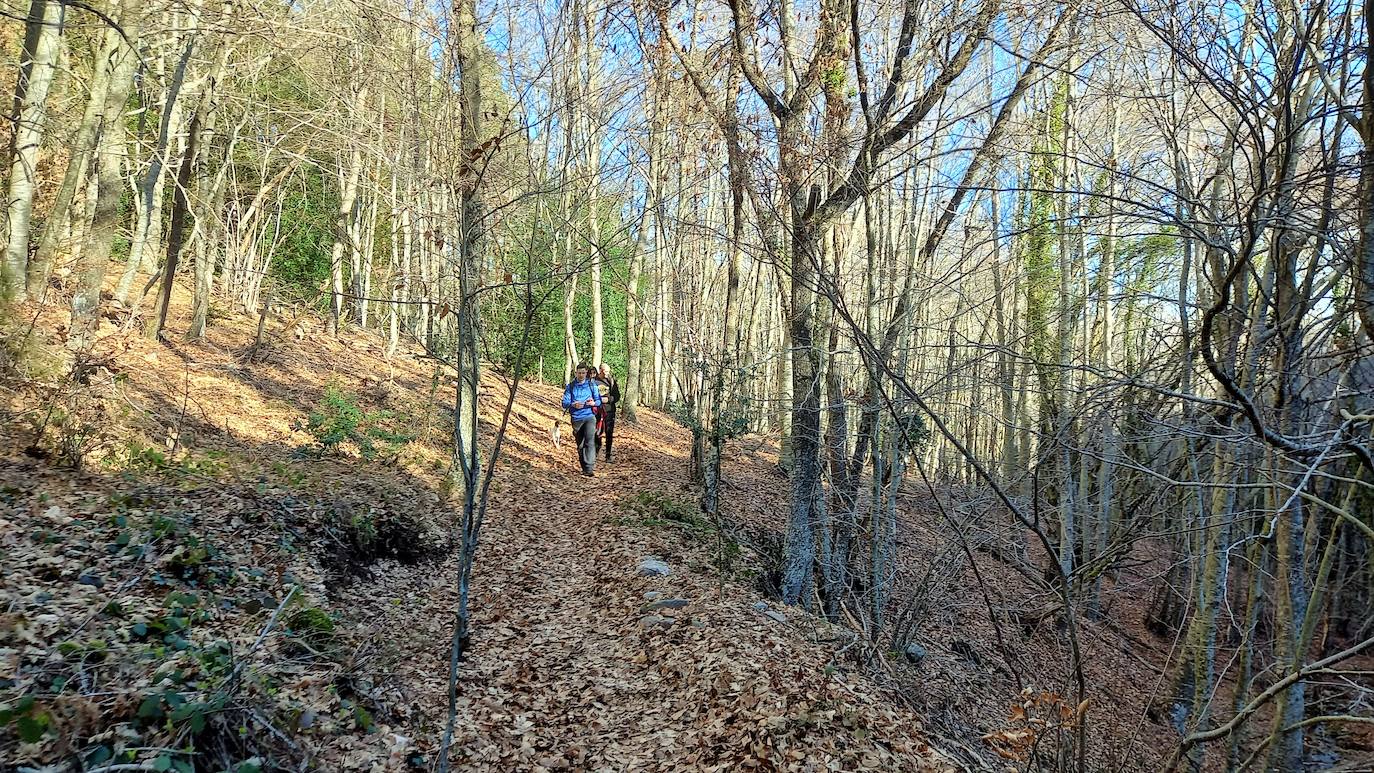 Fotos: Senderismo entre barrancos, pinos, robles y hayas