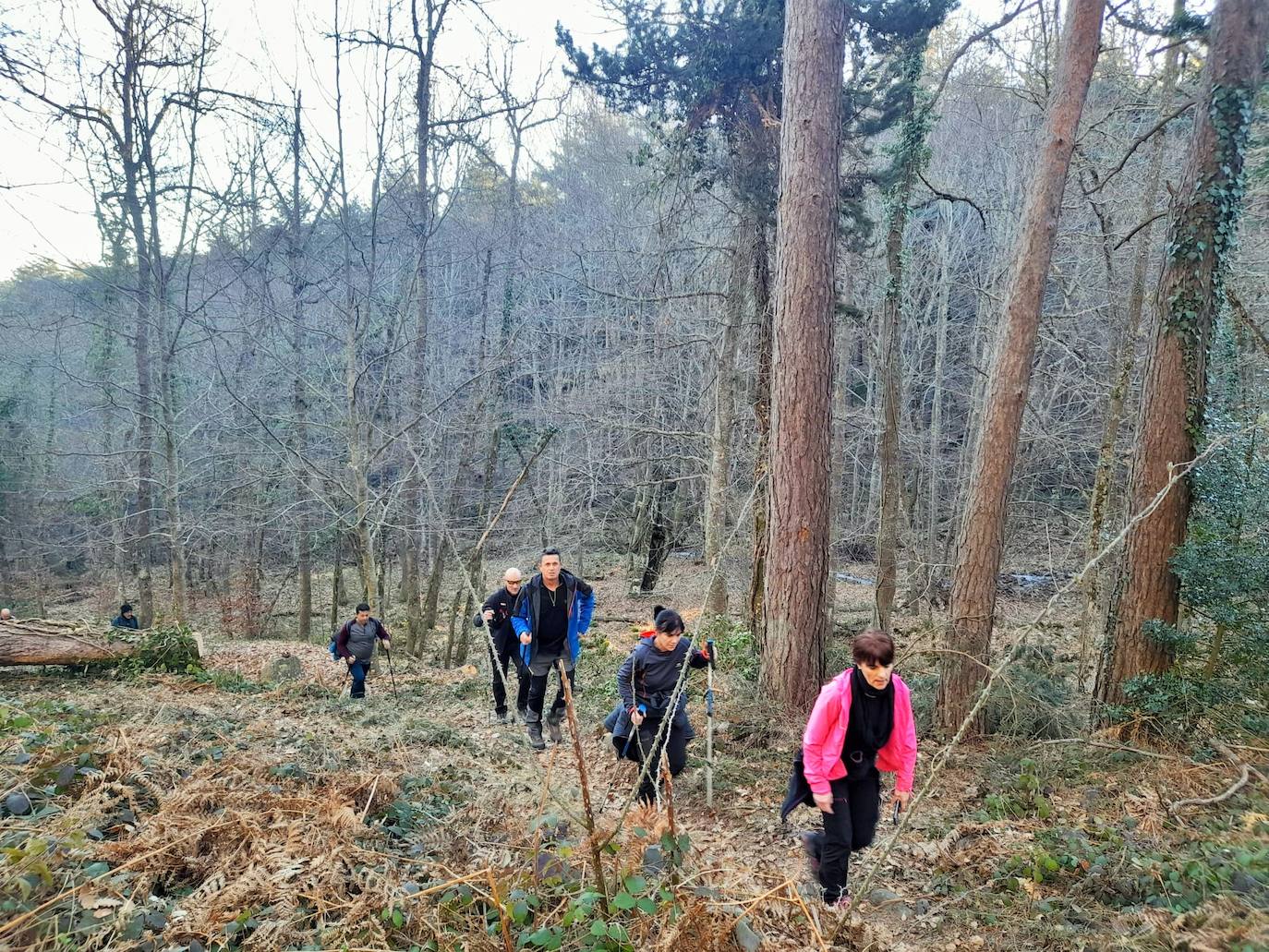 Fotos: Senderismo entre barrancos, pinos, robles y hayas