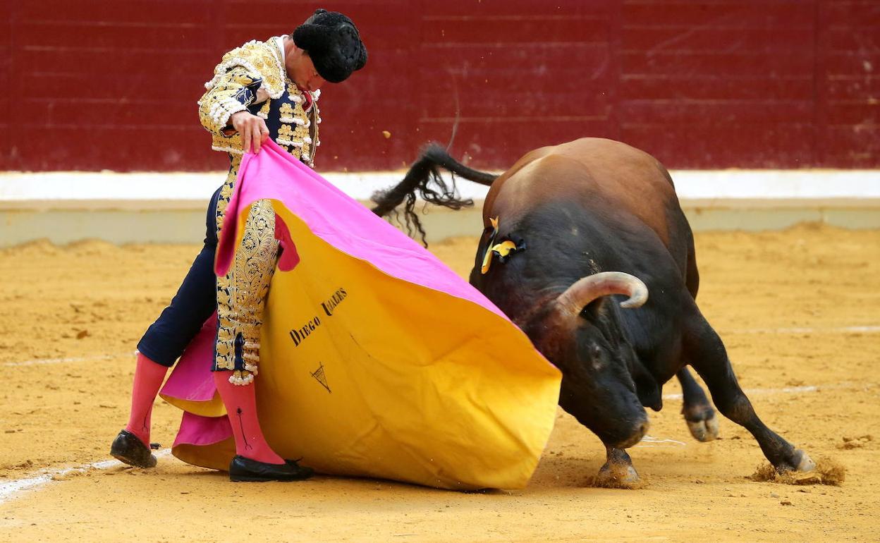 Urdiales toreará dos tardes en Sevilla y también en Brihuega y Ricla