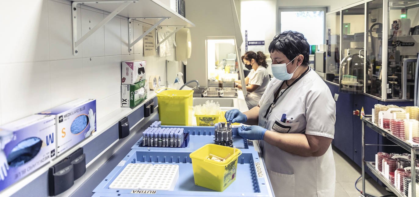 Fotos: Dentro del laboratorio de Microbiología del Hospital San Pedro