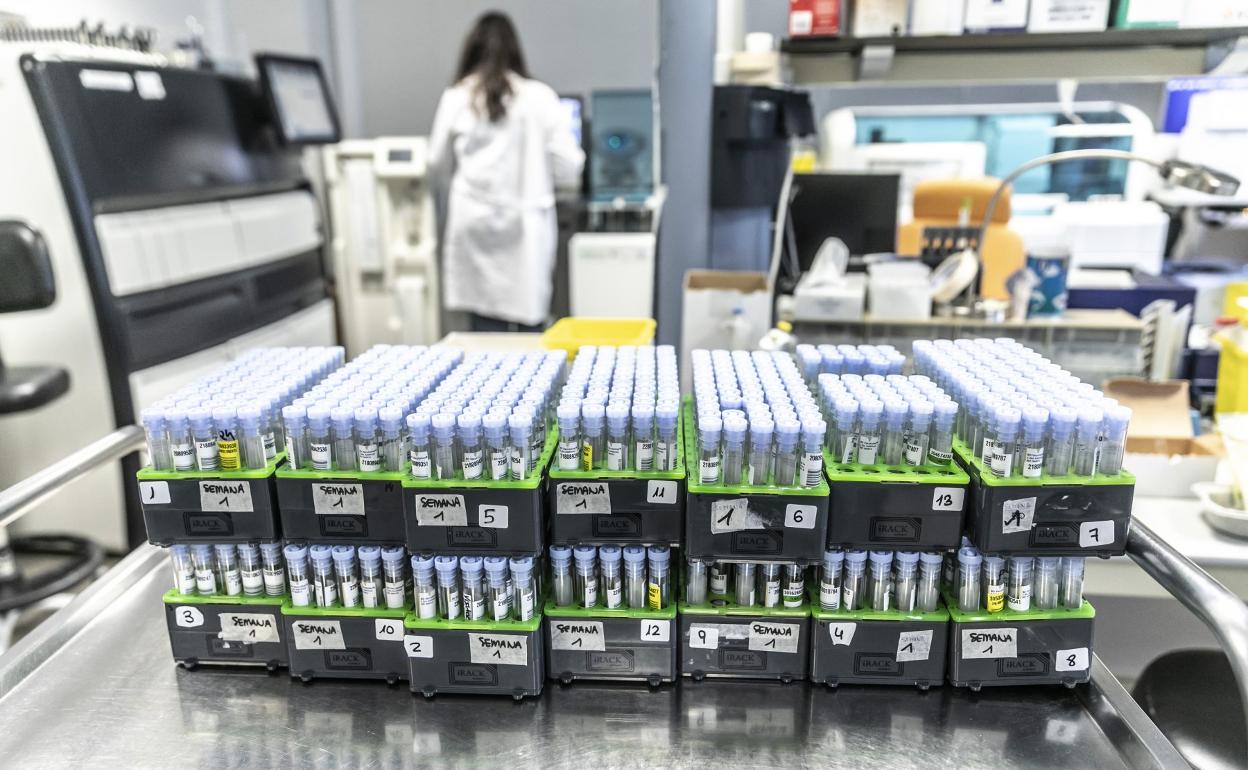 «La PCR detecta material genético mediante biología molecular»