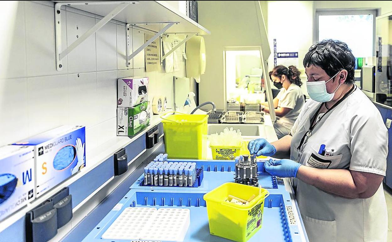 Técnicos del laboratorio de Microbiología del Hospital San Pedro trabajan con las muestras. 