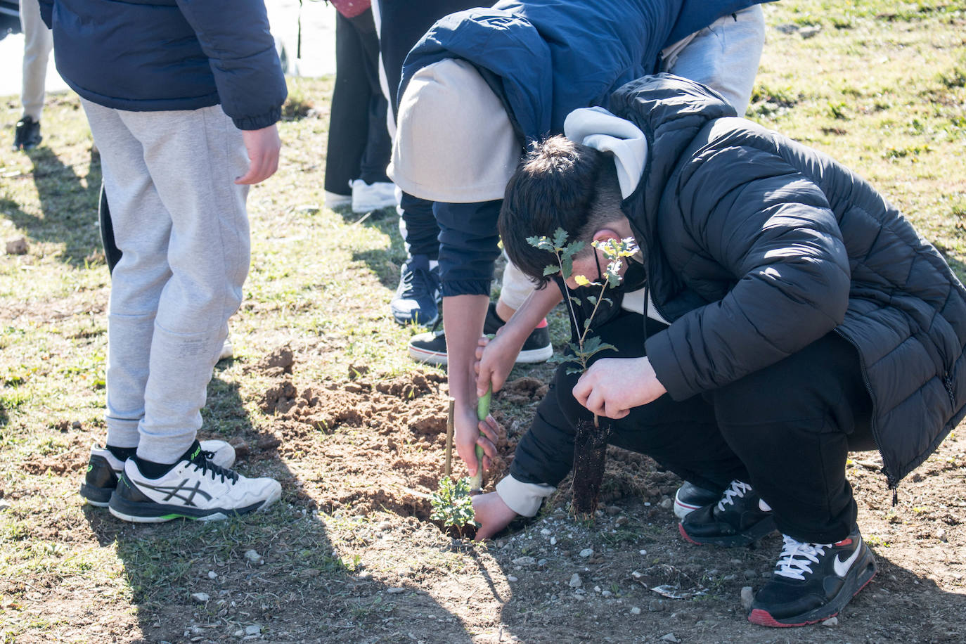 Fotos: Los alumnos del IES Ciudad de Haro plantan árboles en el cerro de Santa Lucía