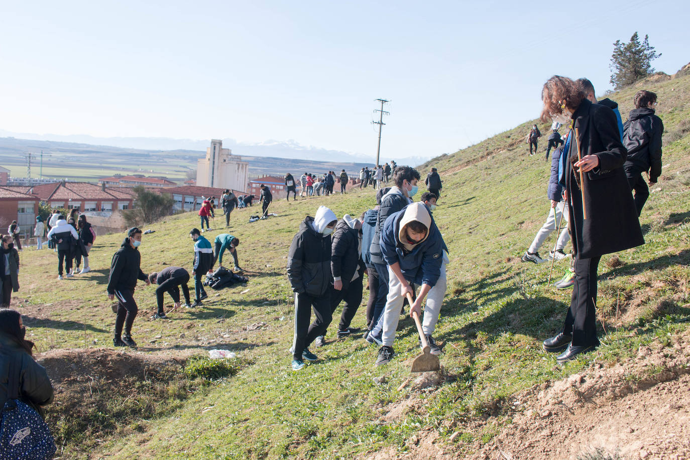 Fotos: Los alumnos del IES Ciudad de Haro plantan árboles en el cerro de Santa Lucía