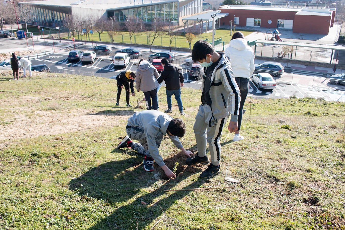 Fotos: Los alumnos del IES Ciudad de Haro plantan árboles en el cerro de Santa Lucía