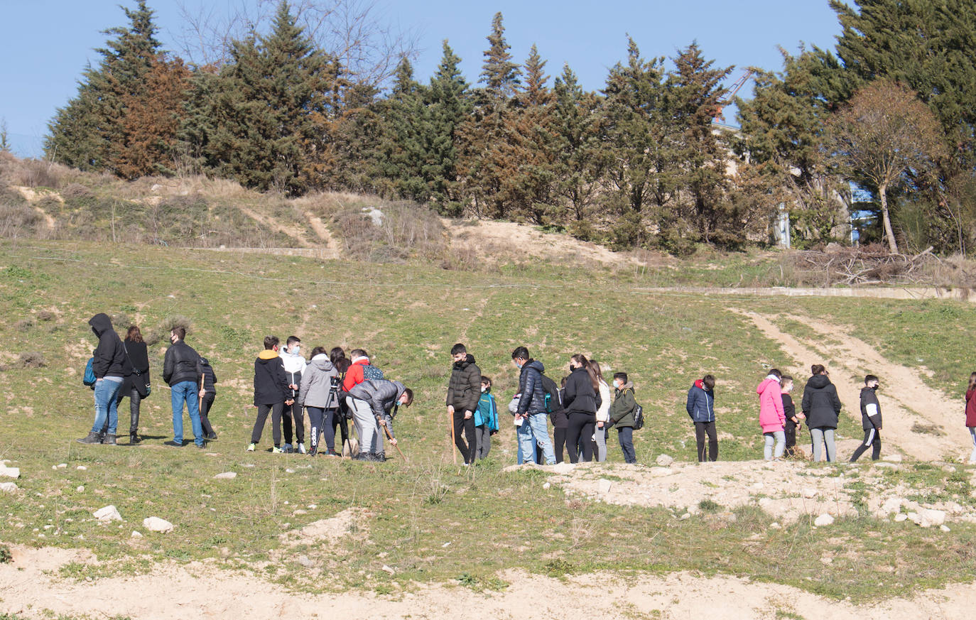 Fotos: Los alumnos del IES Ciudad de Haro plantan árboles en el cerro de Santa Lucía