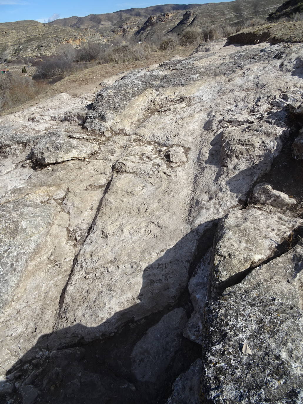 La campaña de mantenimiento del yacimiento arqueológico de Contrebia Leucade ha concluido con importantes novedades como el hallazgo de un lagar en el sector norte. 